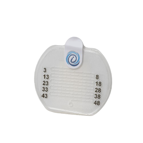 _DSC7265-removebg-preview