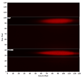 probe_ref_image_web